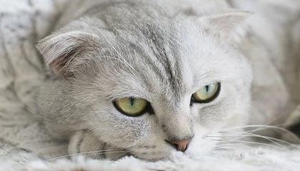 爱游戏在线登录入口-球员日常：明星明星的私密生活曝光，明星的隐私都包括哪些方面