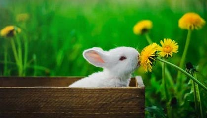 爱游戏登录入口-韩国短道速滑队强势出击冬奥，韩国短道速滑队百度百科