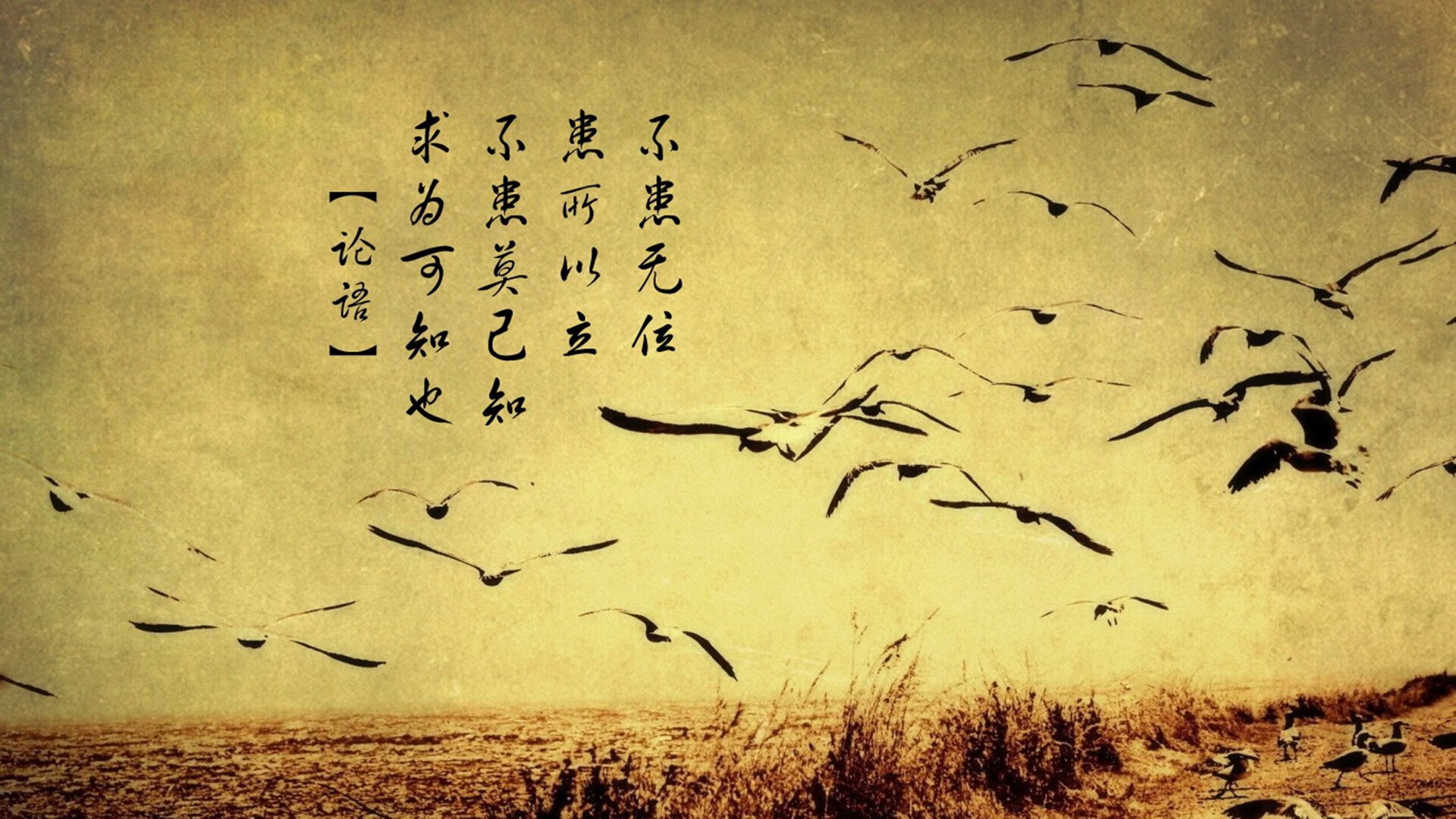 伊朗男足在巴黎奥运会上表现出色，赢得多场比赛，伊朗男足12强