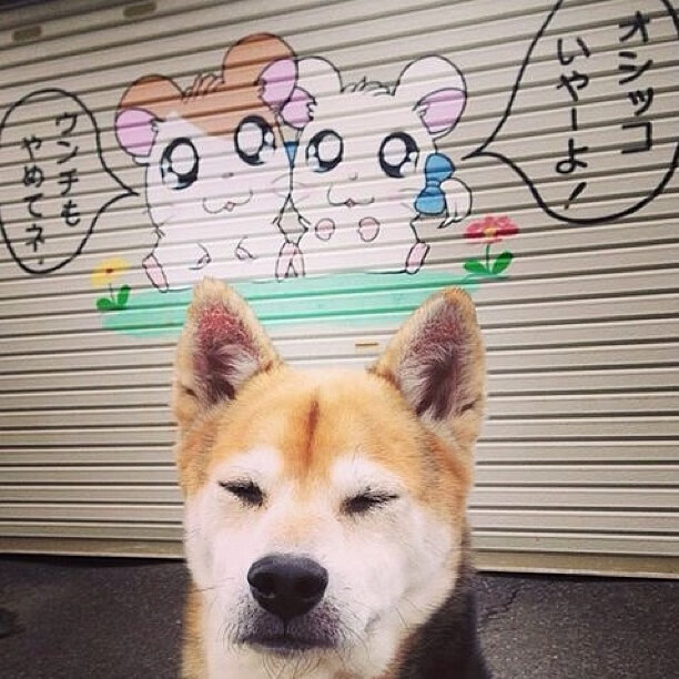 未来几年，哪些年轻球员值得期待？，未来几年,哪些年轻球员值得期待呢