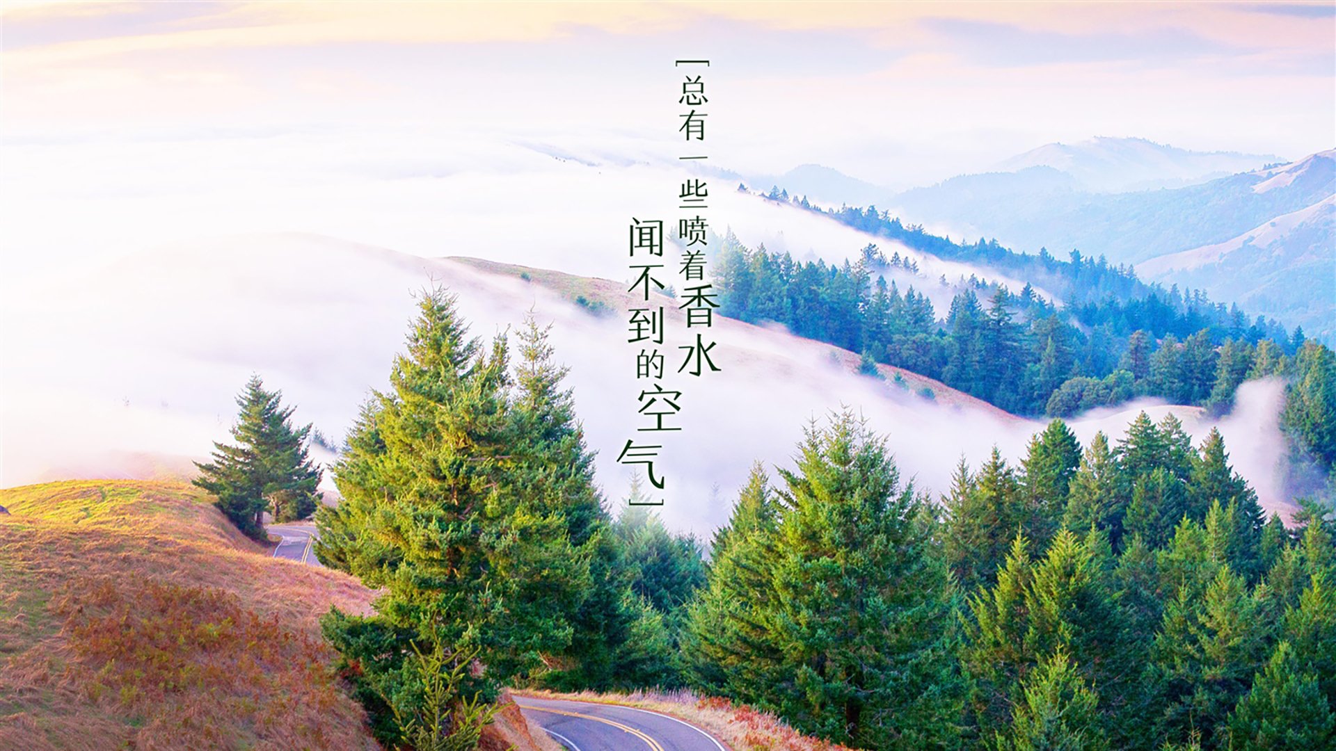 特色篮球运动融入学校体育课程，推动校园体育多元化发展，篮球特色校方案