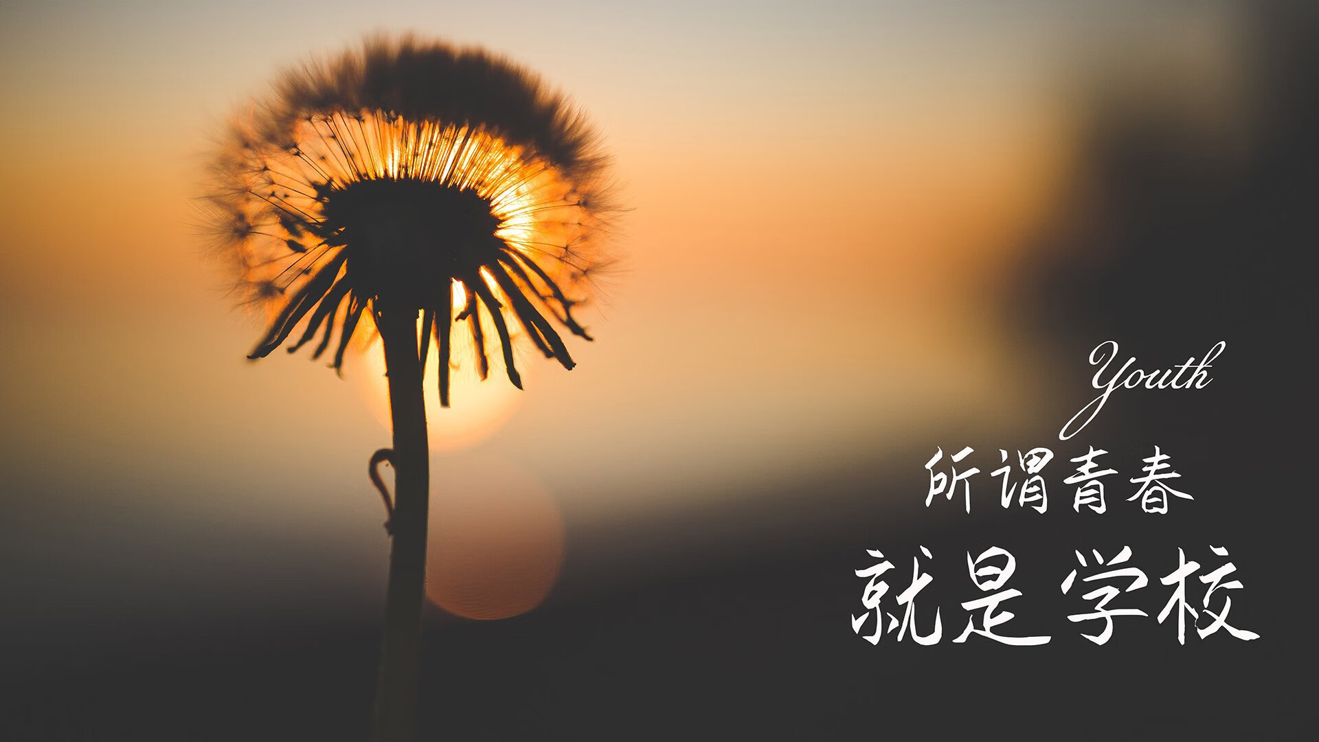 西甲泳坛秀，足球+多元化运动融合发展，西甲一号 游泳健身