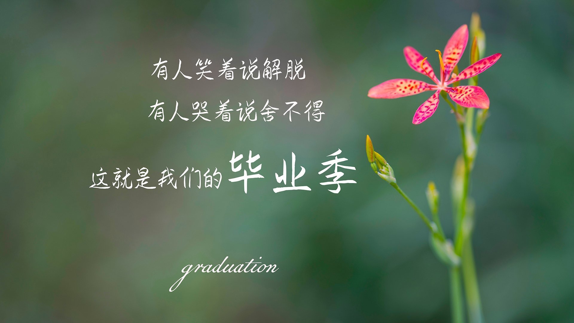 电竞职业选手训练与比赛中的技术动作优化方法，电竞职业选手怎么锻炼手速的