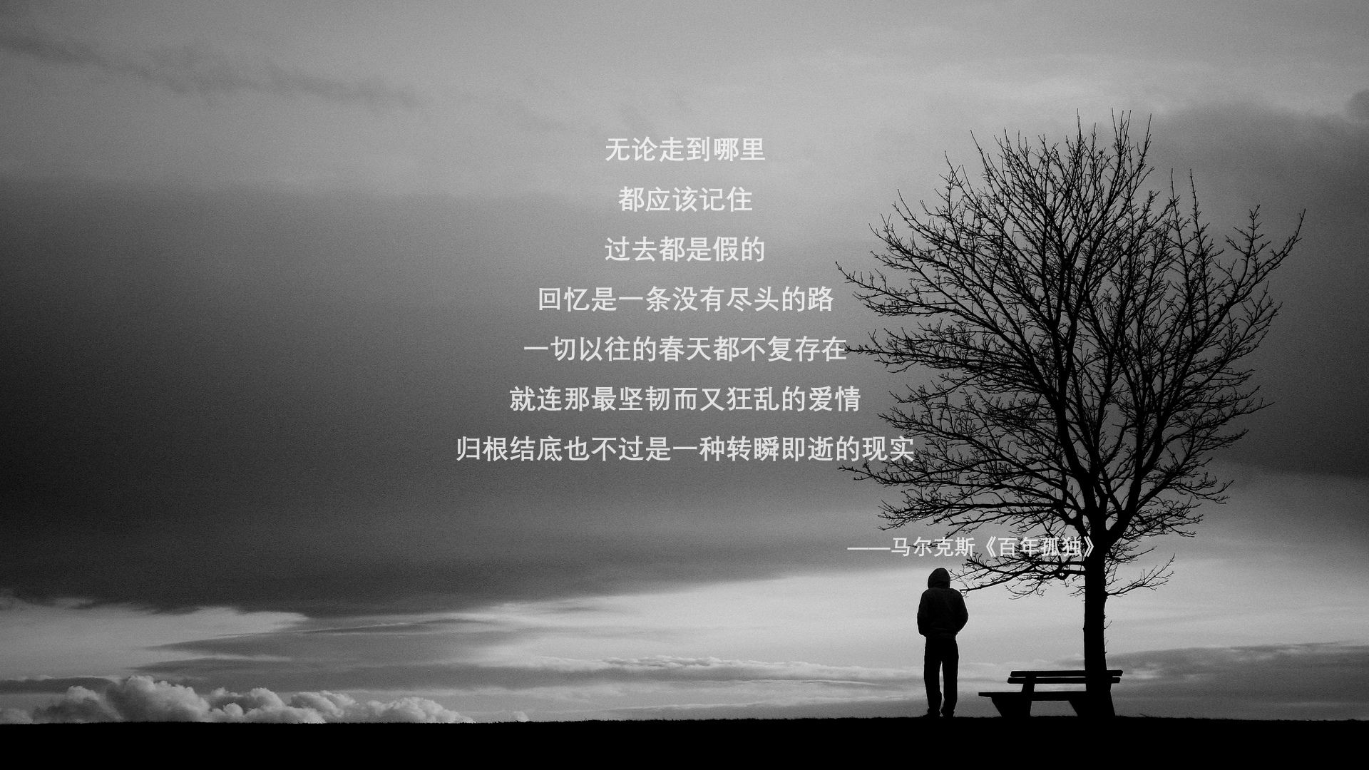 马赛连续获胜保持冲击力，赛马冲刺速度