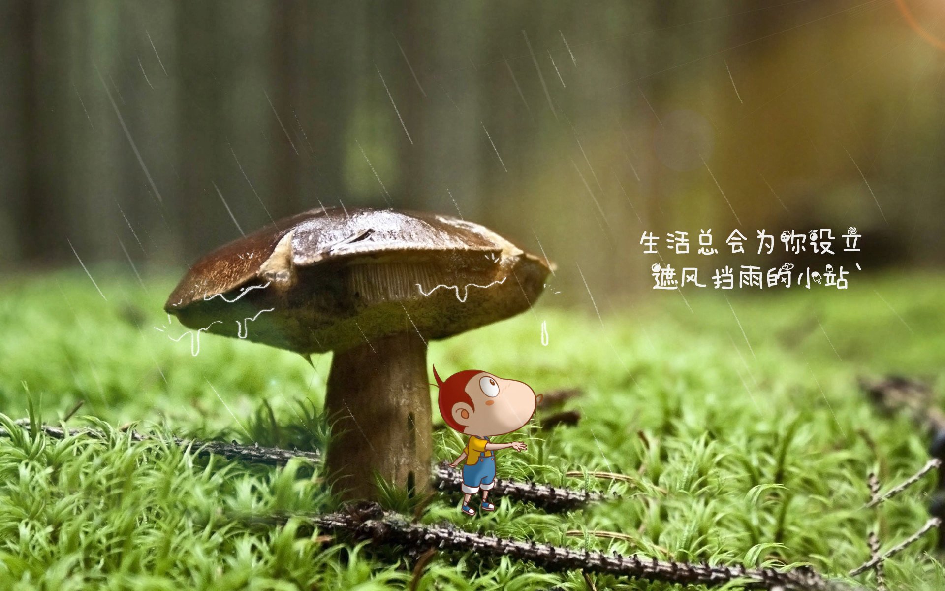 全民健身城市等级评价体系首次公布结果，全民健身示范城市有哪些