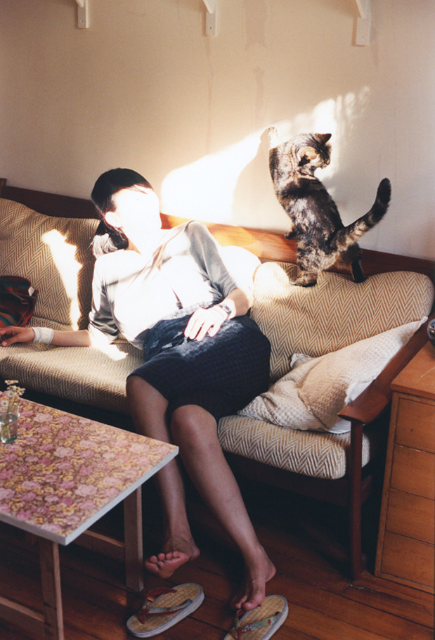 篮球全明星赛粉丝投票开启，全明星篮球赛哪里可以看